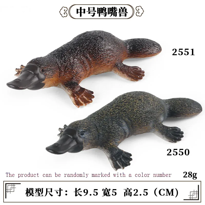 Children's Cognitive Simulation Solid Model Medium Platypus Australian Wildlifes Toy Ornaments Gifts Figure Randomly Send Ones
Children's Cognitive Simulation Solid Model Medium Platypus Australian Wildlifes Toy Ornaments Gifts Figure Randomly Send Ones