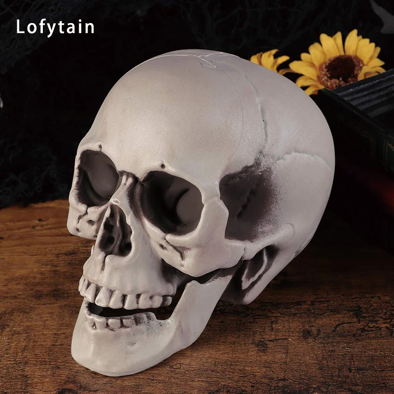 Lofytain украшения для Хэллоуина, искусственный череп, модель головы, пластиковый череп, кость, ужас, модель скелета для бара, искусственный череп, домашний декор
Lofytain украшения для Хэллоуина, искусственный череп, модель головы, пластиковый череп, кость, ужас, модель скелета для бара, искусственный череп, домашний декор