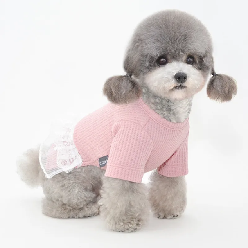 Summer Pet Clothing for Dog Dress Cat Skirt Puppy Dresses Yorkies Pomeranian Dog Clothes Bichon Poodle Schnauzer Costume Apparel
Summer Pet Clothing for Dog Dress Cat Skirt Puppy Dresses Yorkies Pomeranian Dog Clothes Bichon Poodle Schnauzer Costume Apparel