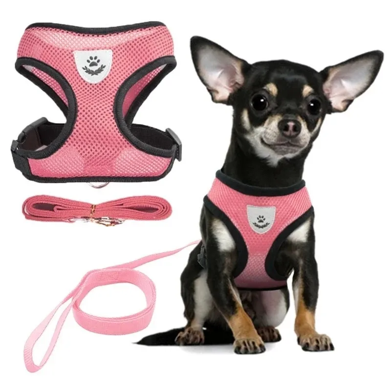 Dogs Puppy Harness Collar Cat Dog Adjustable Vest Walking Lead Leash Soft Breathable Mesh Harness For Small Medium Pet Supplies
Dogs Puppy Harness Collar Cat Dog Adjustable Vest Walking Lead Leash Soft Breathable Mesh Harness For Small Medium Pet Supplies