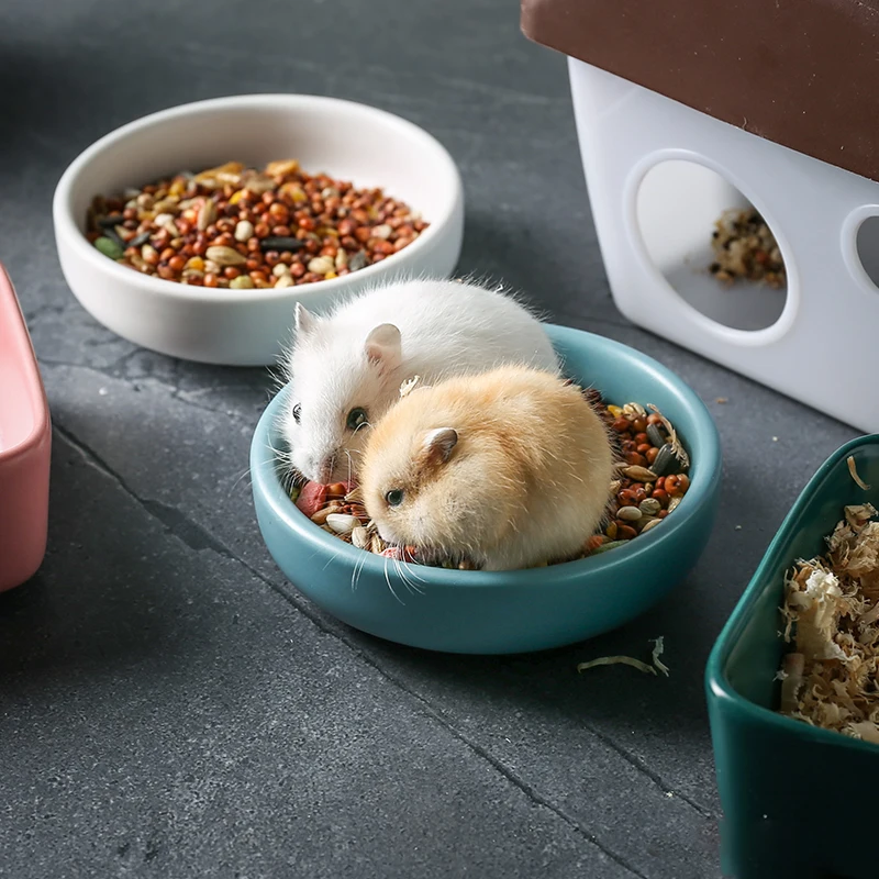 Small Pet Ceramics Food Bowl Hamster Pink Bath Bowl for Shower Sand Nordic Color Rat Feeder Chinchillas Supplies
Small Pet Ceramics Food Bowl Hamster Pink Bath Bowl for Shower Sand Nordic Color Rat Feeder Chinchillas Supplies