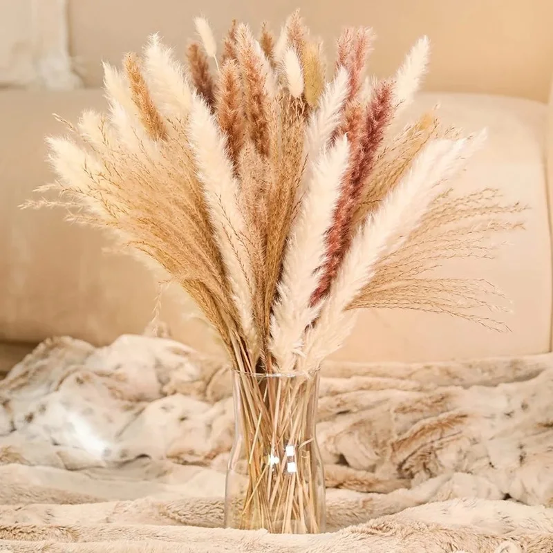 10PCS Dried Reed Flower Arrangement Natural Pampas Grass for Modern Wedding Supplies Home Office Decoration Party Backdrops
10PCS Dried Reed Flower Arrangement Natural Pampas Grass for Modern Wedding Supplies Home Office Decoration Party Backdrops