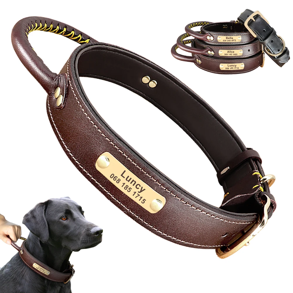 Leather Dog Collar Personalized ID Tag Collar For Medium Large Dogs Pet Walking Training Quick Control Necklace With Handle
Leather Dog Collar Personalized ID Tag Collar For Medium Large Dogs Pet Walking Training Quick Control Necklace With Handle