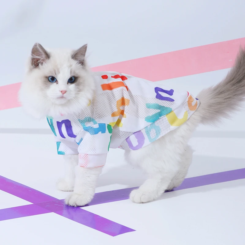 Cat Supplies Clothes Anti-hair Loss Summer Vest Sunscreen British Short Puppet Summer Kitten Pet Clothes Thin Section Cat Outfit
Cat Supplies Clothes Anti-hair Loss Summer Vest Sunscreen British Short Puppet Summer Kitten Pet Clothes Thin Section Cat Outfit