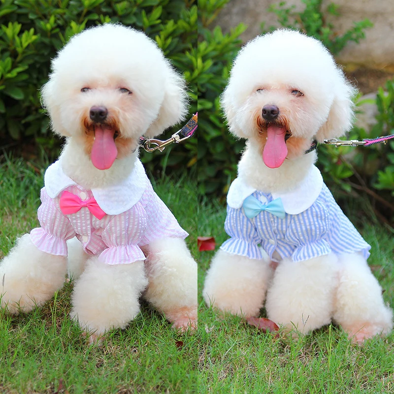 Summer Fresh Pet Skirts Bowknot Striped Princess Dress Sleeveless Thin Dog Clothes For Small Dogs Cats Sweet Pink Puppy Costumes
Summer Fresh Pet Skirts Bowknot Striped Princess Dress Sleeveless Thin Dog Clothes For Small Dogs Cats Sweet Pink Puppy Costumes