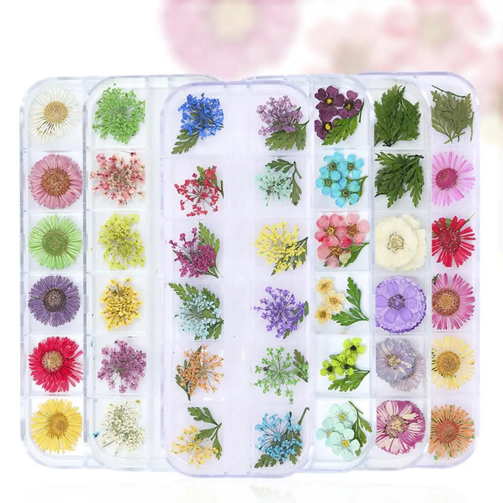 12 Grid/box Dried Flowers Dry Plants for Resin Molds Fillings Epoxy Resin Pendant Tweezers Jewelry Making Craft DIY Nail Art
12 Grid/box Dried Flowers Dry Plants for Resin Molds Fillings Epoxy Resin Pendant Tweezers Jewelry Making Craft DIY Nail Art