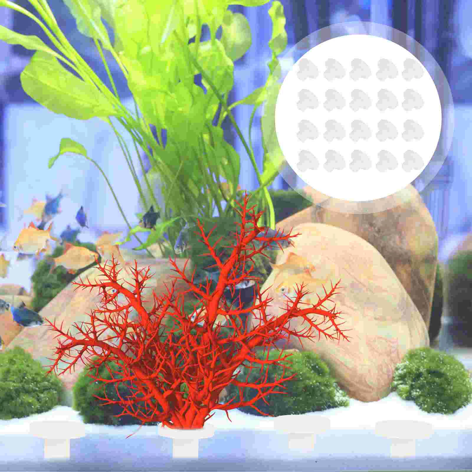 Coral Frag Rack Holder Tank Ceramic Plugsaquarium Plug Suction Bracket Reefchuck Standbreeding Ornament Supplies Aquraium
Coral Frag Rack Holder Tank Ceramic Plugsaquarium Plug Suction Bracket Reefchuck Standbreeding Ornament Supplies Aquraium
