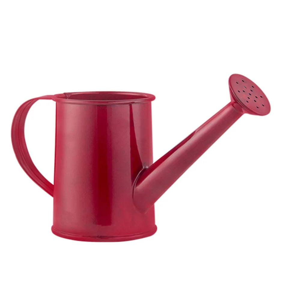 Metal Watering Can Gardening Container Infant Bath Toys Kids Outdoor Playset Flower Bottle Succulent Planter Pot Hand
Metal Watering Can Gardening Container Infant Bath Toys Kids Outdoor Playset Flower Bottle Succulent Planter Pot Hand