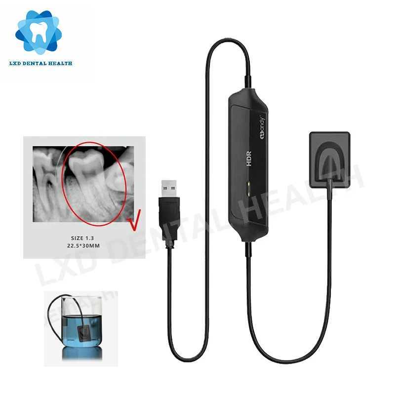 Dental X Ray Sensor Fast Transmission System Intra-Oral with Software 3m Cable Clear Image Portable Digital X Ray
Dental X Ray Sensor Fast Transmission System Intra-Oral with Software 3m Cable Clear Image Portable Digital X Ray