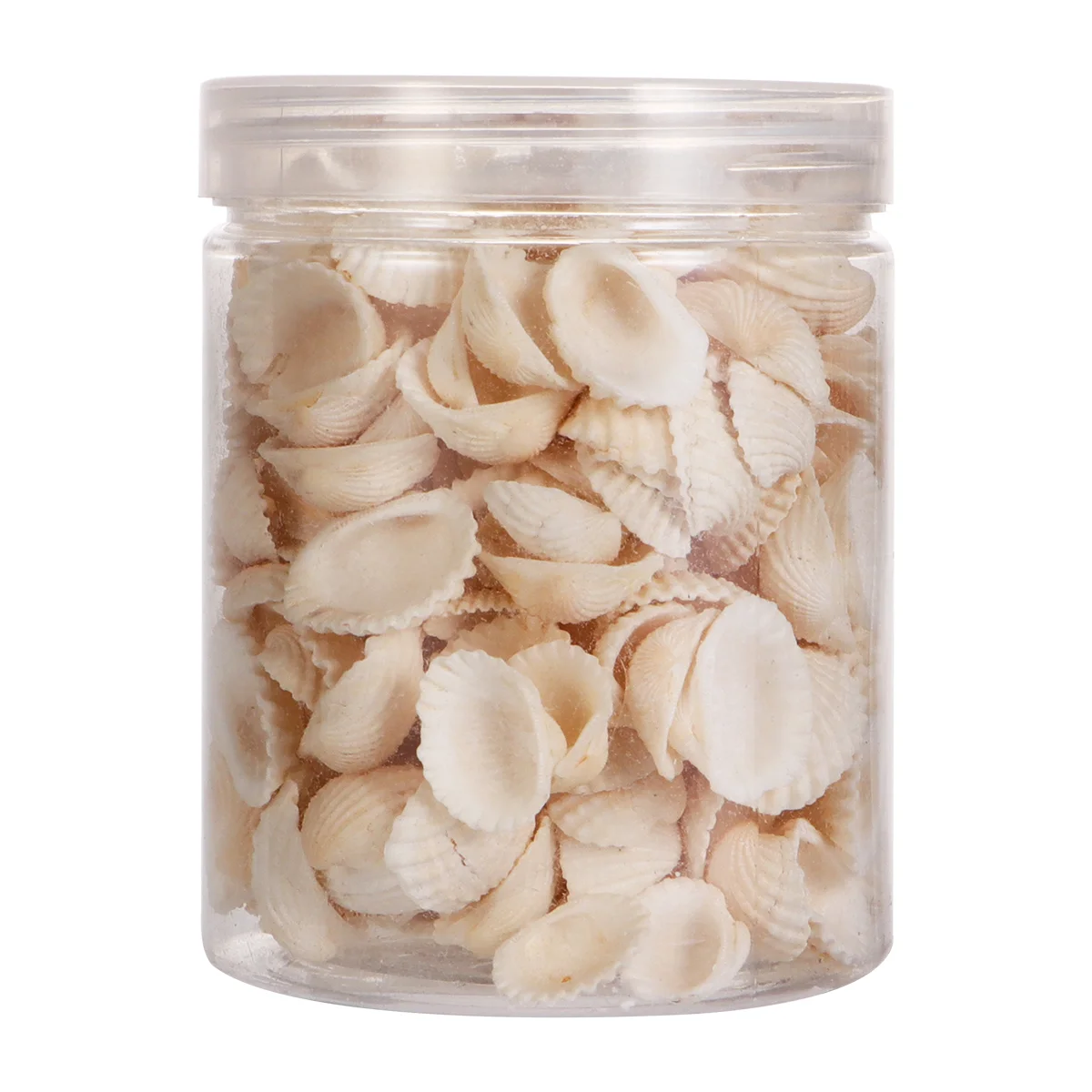 1 Set Natural Scallop Delicate Style Decor Accessories for DIY Pendant Earrings
1 Set Natural Scallop Delicate Style Decor Accessories for DIY Pendant Earrings