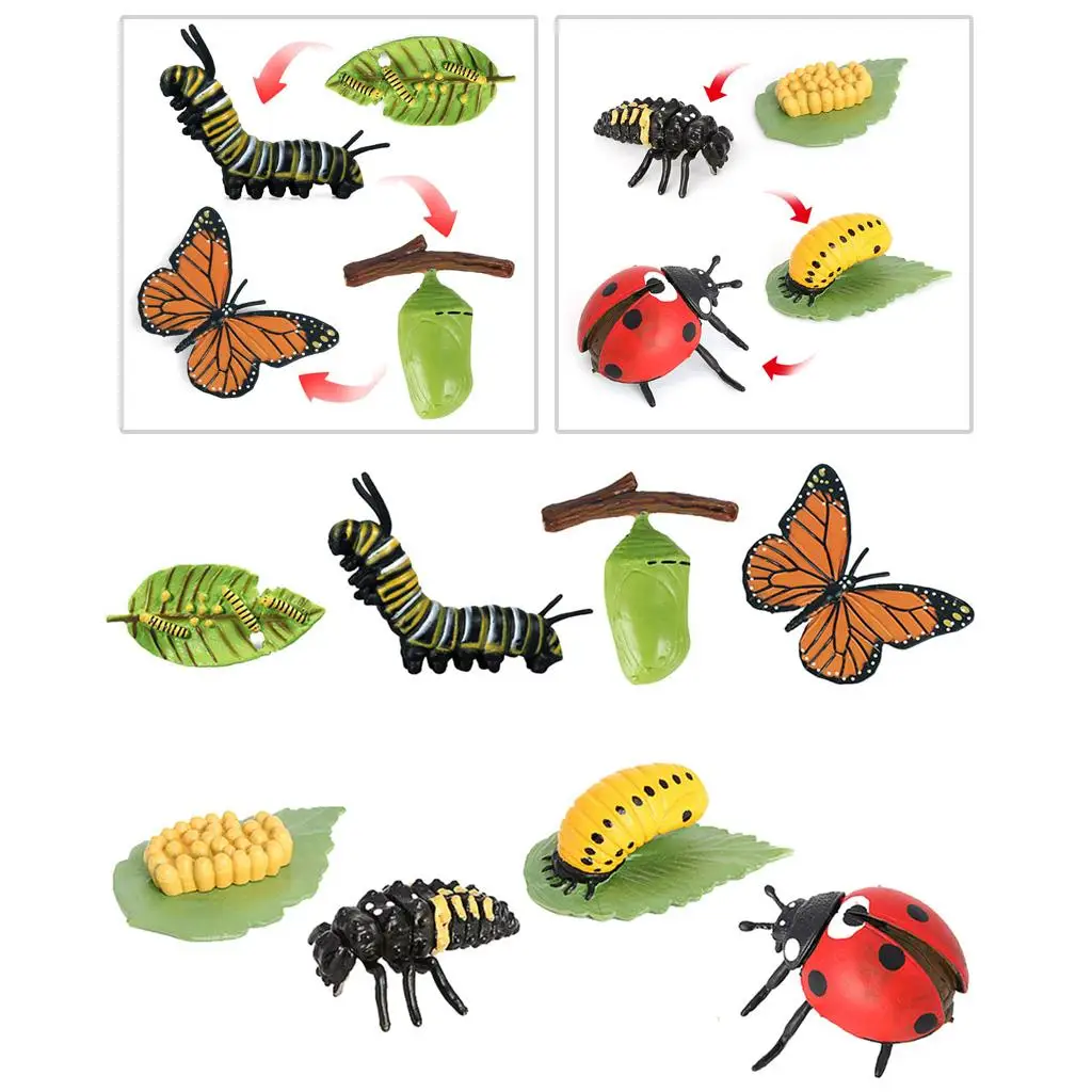 Butterfly Growth Life Cycle Figures Playset Kids Learning Toys
Butterfly Growth Life Cycle Figures Playset Kids Learning Toys