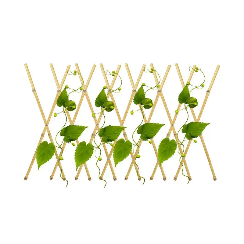Bamboo Trellis Expandable Natural Bamboo Garden Trellis Plant Support Vine Trellis Outdoor Lattice Fence Panel For Climbing
Bamboo Trellis Expandable Natural Bamboo Garden Trellis Plant Support Vine Trellis Outdoor Lattice Fence Panel For Climbing