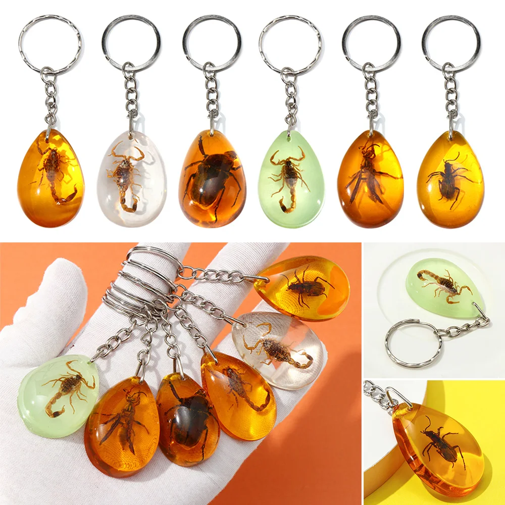 Fashion Outdoor Keyring Keychain Amber Key Chain Key Holder Insect Specimen Chain Pendant
Fashion Outdoor Keyring Keychain Amber Key Chain Key Holder Insect Specimen Chain Pendant