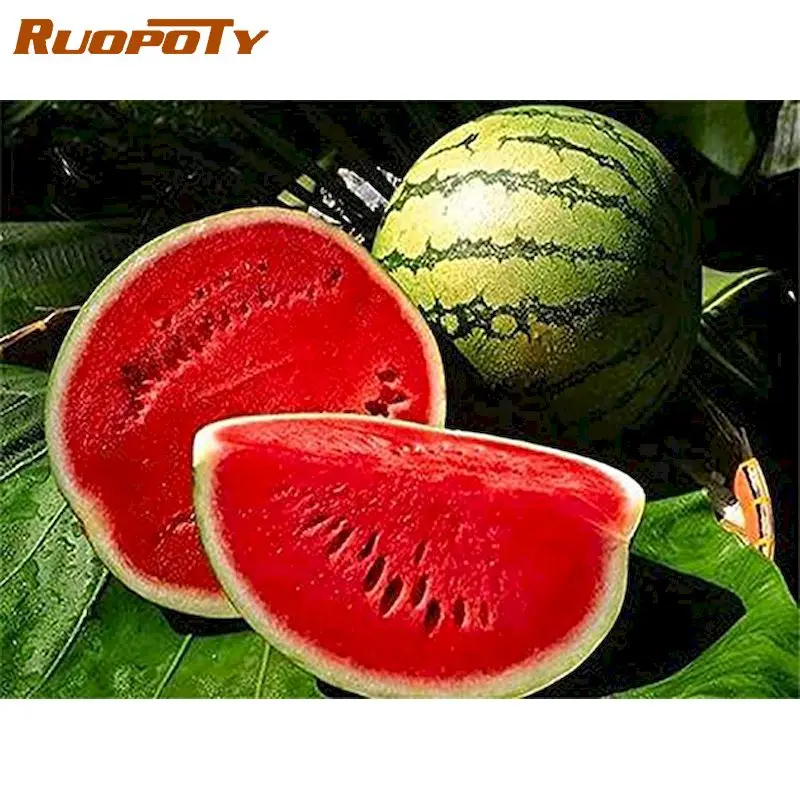 RUOPOTY Diamond Embroidery Watermelon Full Square Diamond Painting Cross Stitch Diamond Mosaic Full Set Sale Decor
RUOPOTY Diamond Embroidery Watermelon Full Square Diamond Painting Cross Stitch Diamond Mosaic Full Set Sale Decor