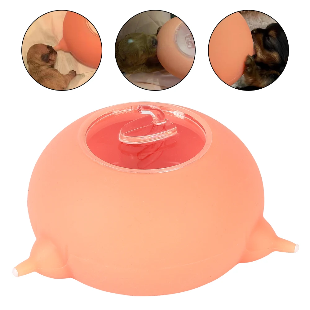 200ML Bubble Milk Bowl Milk Feeder Puppy Nursing Station Pet Accesions Pet Nursing Bottle Silicone 3 Nipples 
200ML Bubble Milk Bowl Milk Feeder Puppy Nursing Station Pet Accesions Pet Nursing Bottle Silicone 3 Nipples