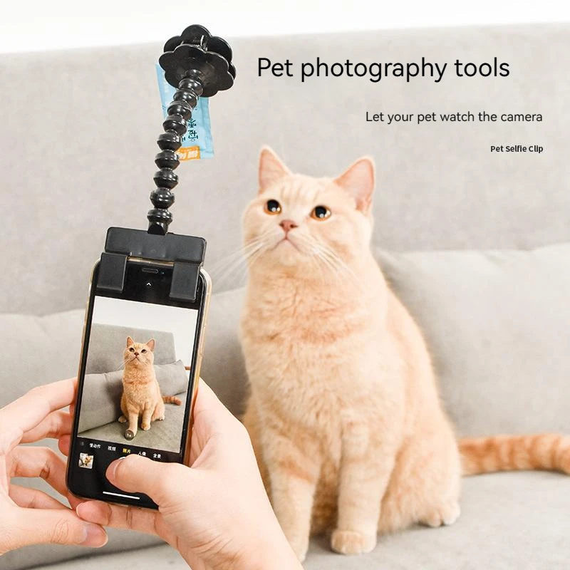 Pet Selfie Stick Dog Cat Photo Training Toy Camera Phone Clip Attraction Easy to Take Cute Photo Portable Photo Training Toy
Pet Selfie Stick Dog Cat Photo Training Toy Camera Phone Clip Attraction Easy to Take Cute Photo Portable Photo Training Toy