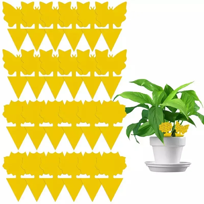 12PCS Double-sided Sticky Trap Insect Board Mosquito Flies Trap Board Insect Sticker Control Trap stick Garden Plant Fly Traps
12PCS Double-sided Sticky Trap Insect Board Mosquito Flies Trap Board Insect Sticker Control Trap stick Garden Plant Fly Traps