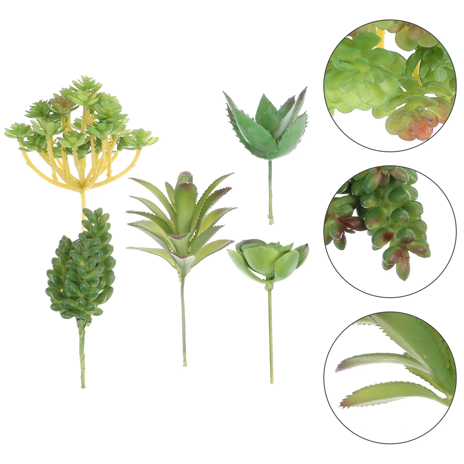 1 Set Artificial Succulent Plants Unpotted Fake Realistic Succulents for Home Gardern DIY Decoration
1 Set Artificial Succulent Plants Unpotted Fake Realistic Succulents for Home Gardern DIY Decoration