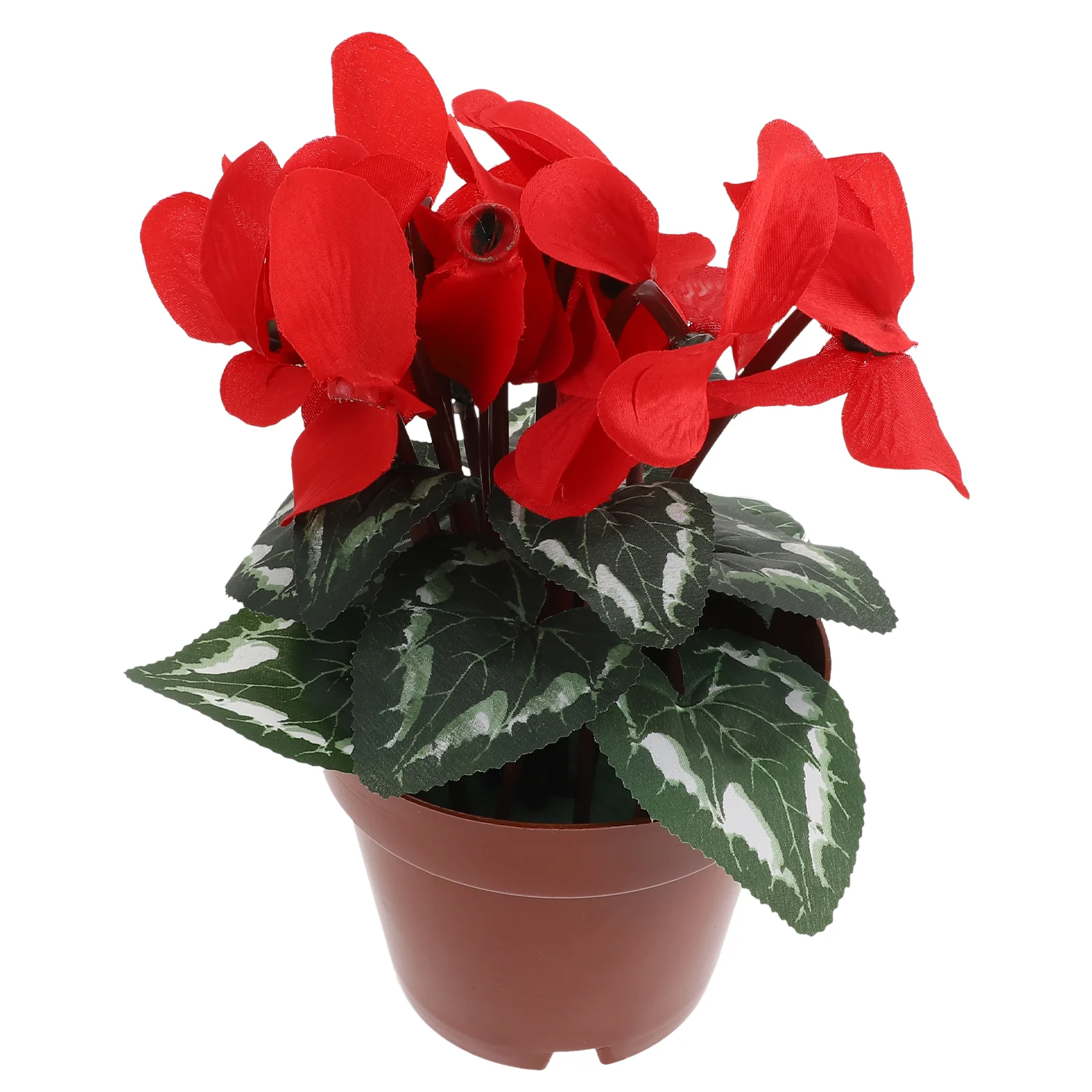 Artificial Potted Flowers Bonsaifake Flower Faux Potrose Minitree Redwith Wedding Decor Decorative Poinsettia Pots Table
Artificial Potted Flowers Bonsaifake Flower Faux Potrose Minitree Redwith Wedding Decor Decorative Poinsettia Pots Table