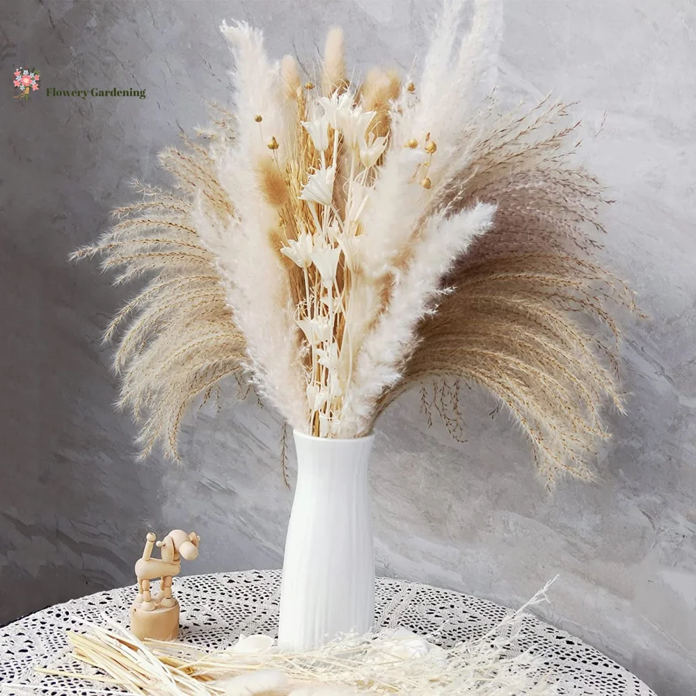 Fluffy Reed Pampas White Eternal Natural Dried Flower Bouquet Artificial Flowers Boho Wedding Party Decor Nordic Home Decoration
Fluffy Reed Pampas White Eternal Natural Dried Flower Bouquet Artificial Flowers Boho Wedding Party Decor Nordic Home Decoration