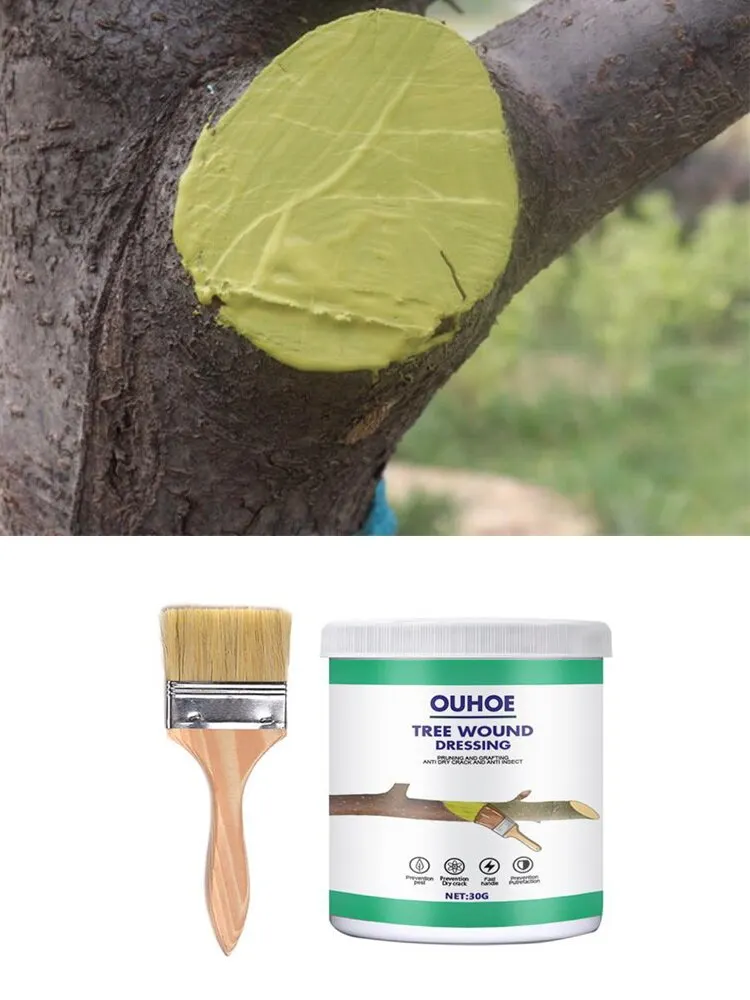 30g Tree Wound Sealer Healing Cream Wound Bonsai Cut Paste Smear Agent Pruning Compound Sealer For Home Gardening Plants Tools
30g Tree Wound Sealer Healing Cream Wound Bonsai Cut Paste Smear Agent Pruning Compound Sealer For Home Gardening Plants Tools