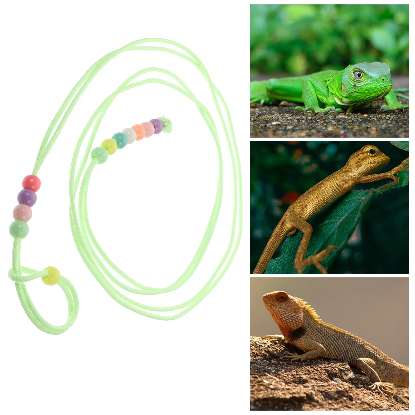 Lizard Leash Traction Rope Belt Reptiles Small Pet Outdoor Strap Walking Pets Lizards
Lizard Leash Traction Rope Belt Reptiles Small Pet Outdoor Strap Walking Pets Lizards