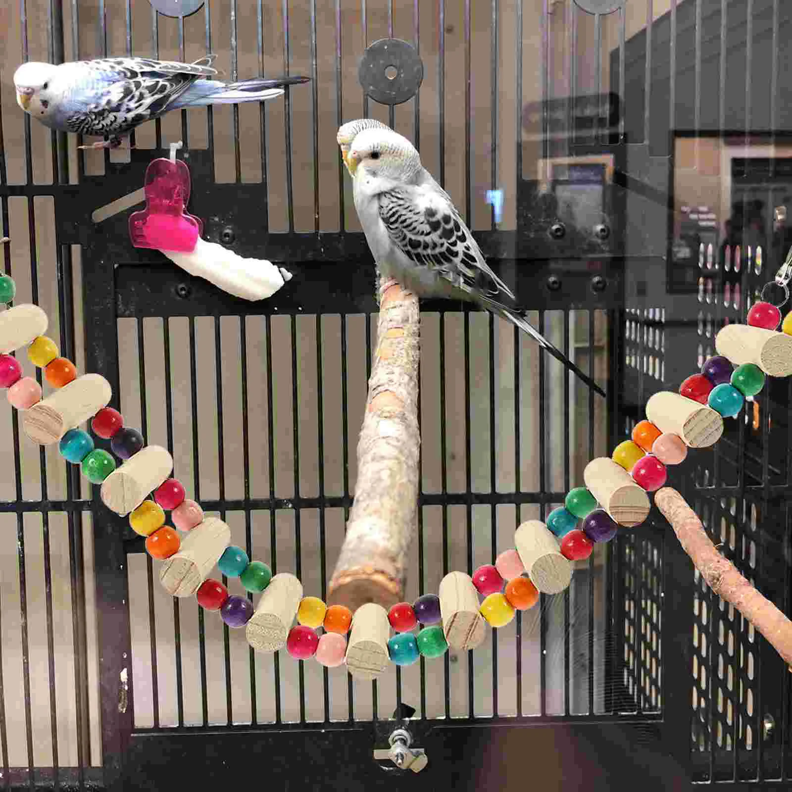 Bird Parrot Ladder Swing Bridge Natural Wooden Pet Hanging Chewing Toy Bird Cage Accessory
Bird Parrot Ladder Swing Bridge Natural Wooden Pet Hanging Chewing Toy Bird Cage Accessory