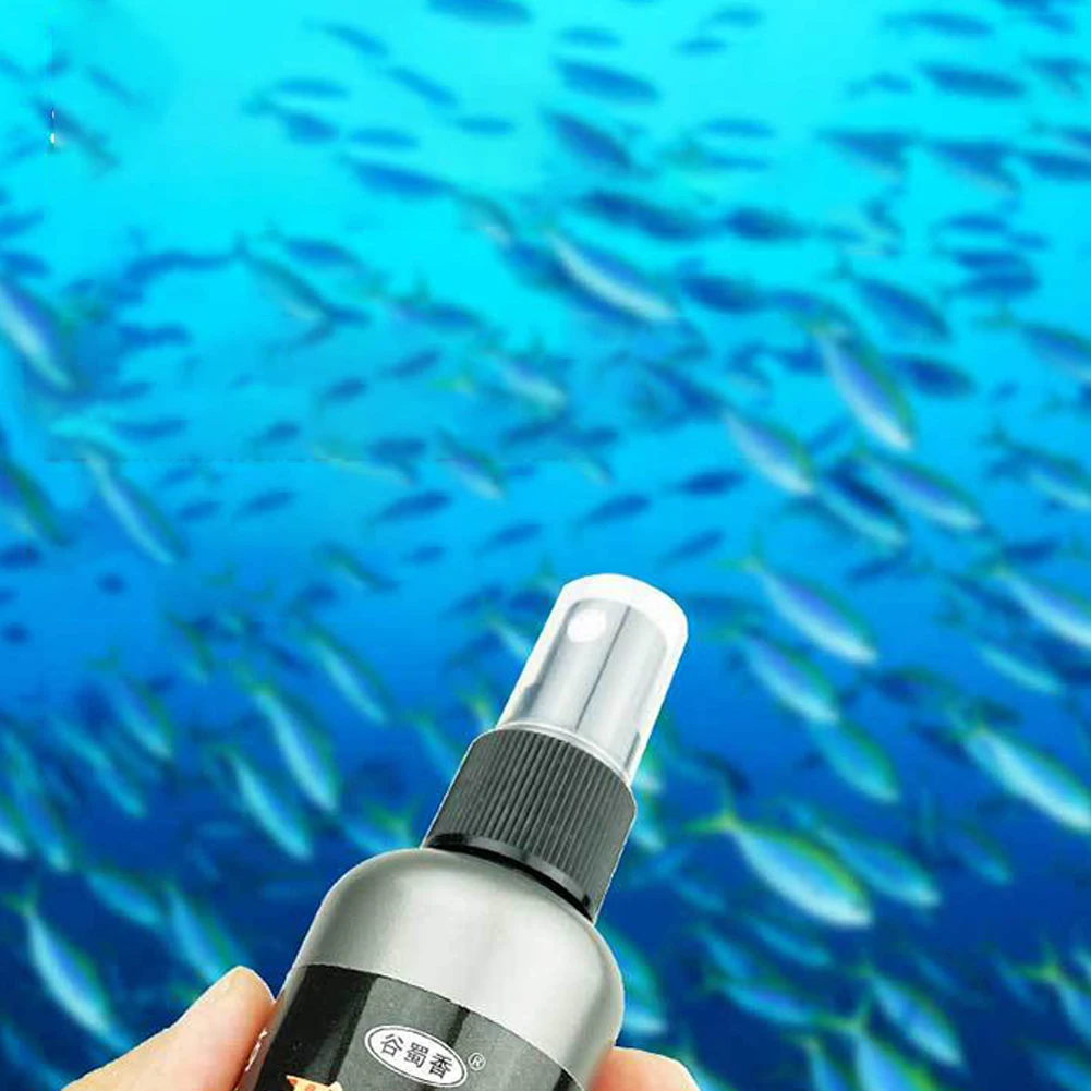 Flavor Additive Fishing Bait 50ML 60g Concentrate Fishing Scent Fishing Tool For Outdoor Sport Liquid Additive
Flavor Additive Fishing Bait 50ML 60g Concentrate Fishing Scent Fishing Tool For Outdoor Sport Liquid Additive