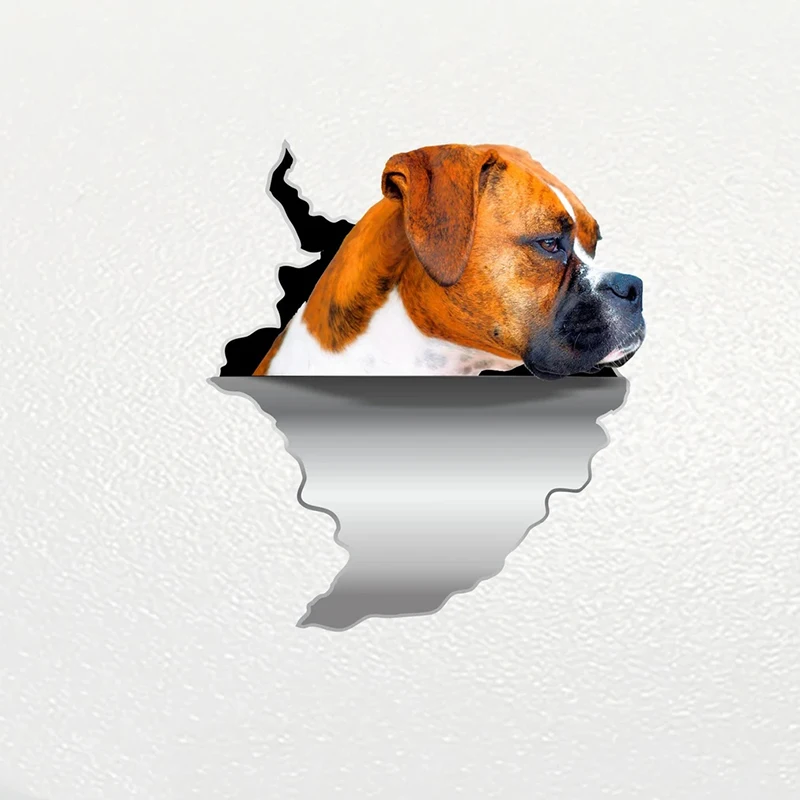 V1056# Car Sticker Deutscher Boxer Dog Pet Animal Waterproof Vinyl Decal Car Accessories Decor Pegatinas Para Coche
V1056# Car Sticker Deutscher Boxer Dog Pet Animal Waterproof Vinyl Decal Car Accessories Decor Pegatinas Para Coche