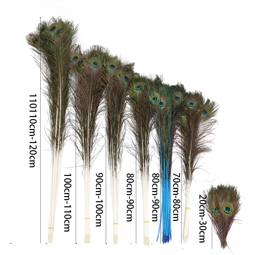 Wholesale 10/50/100/Pcs Natural Peacock Feather 70-120cm High Quality Plume Diy Table Centerpieces Peacocks Carnival Accessories
Wholesale 10/50/100/Pcs Natural Peacock Feather 70-120cm High Quality Plume Diy Table Centerpieces Peacocks Carnival Accessories