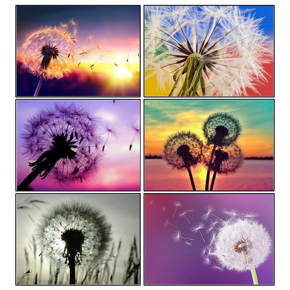 5d Diamond Painting Full SquareRound Dandelion Picture Of Rhinestone DIY Diamond Embroidery Home Decor 
5d Diamond Painting Full SquareRound Dandelion Picture Of Rhinestone DIY Diamond Embroidery Home Decor