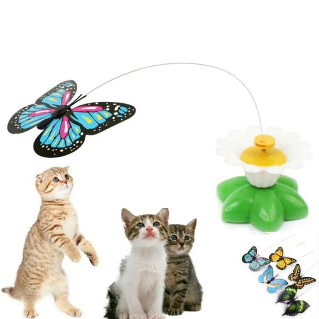 Electric Hanging Butterfly interactive Cat Toy Simulation Funny Flying Eagle Cat Teasering Play Kitten Dog Toys for Cat Pet Toys
Electric Hanging Butterfly interactive Cat Toy Simulation Funny Flying Eagle Cat Teasering Play Kitten Dog Toys for Cat Pet Toys