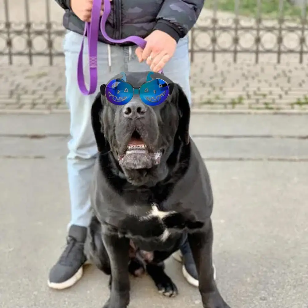 Pet Glasses for Dogs Stylish Dog Sunglasses Windproof Anti-fog Uv Protection for Small to Medium Breeds Comfortable for Pets
Pet Glasses for Dogs Stylish Dog Sunglasses Windproof Anti-fog Uv Protection for Small to Medium Breeds Comfortable for Pets