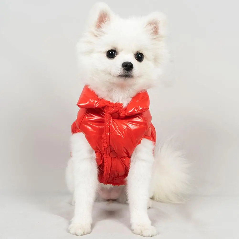 Pet Dog Cat Thickened Vest Coat 2-legged Design Warm Soft Pet Outwear Jacket Clothes Pet Supplies
Pet Dog Cat Thickened Vest Coat 2-legged Design Warm Soft Pet Outwear Jacket Clothes Pet Supplies