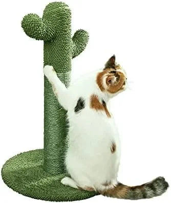 PetnPurr Cactus rascador para Gatos \u2013 Proteja Sus Muebles con los Postes y Almohadillas rascadoras Naturales de sisal
PetnPurr Cactus rascador para Gatos \u2013 Proteja Sus Muebles con los Postes y Almohadillas rascadoras Naturales de sisal