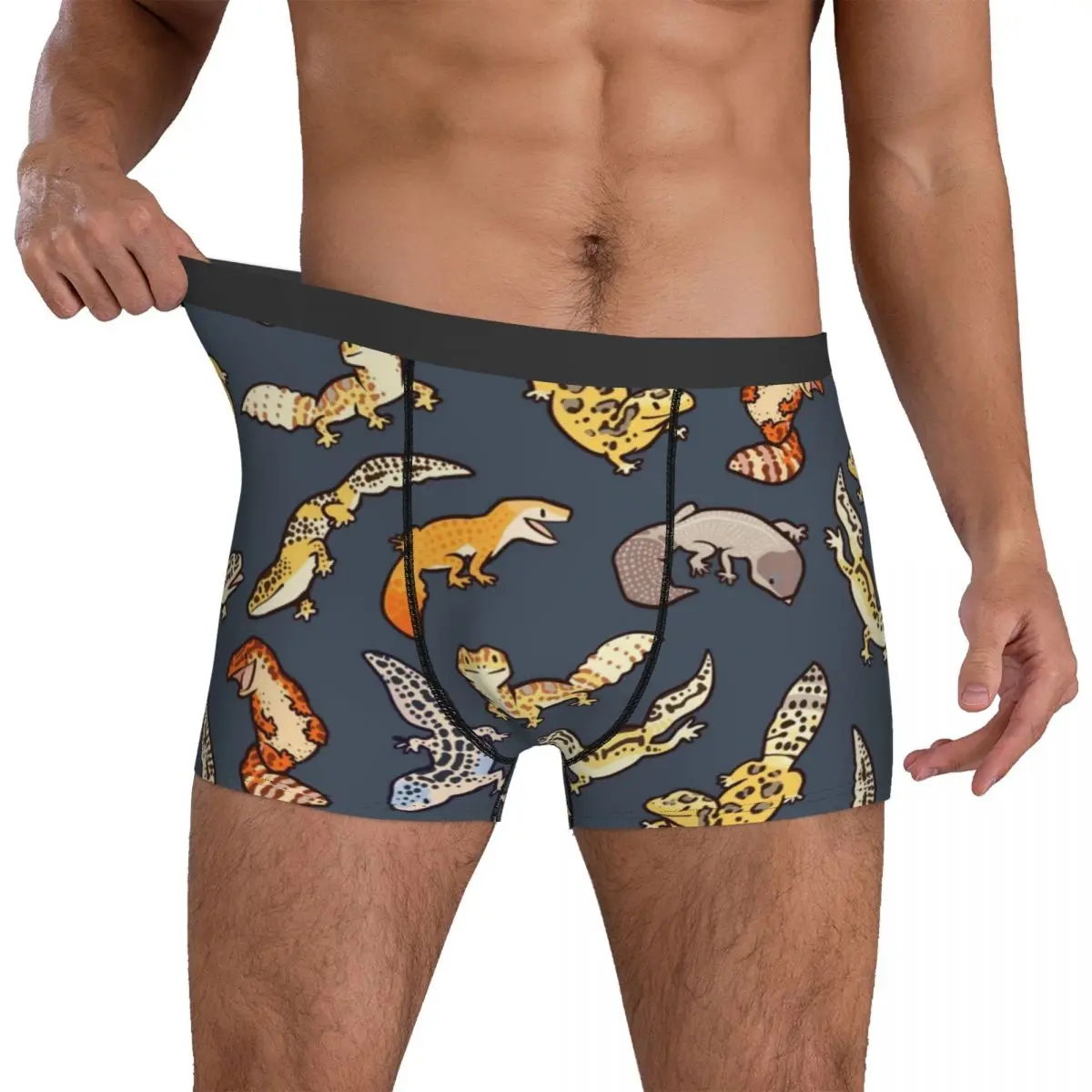 Lizard Underwear chub geckos in dark grey 3D Pouch Trenky Boxer Shorts Print Boxer Brief Cute Male Underpants Large Size
Lizard Underwear chub geckos in dark grey 3D Pouch Trenky Boxer Shorts Print Boxer Brief Cute Male Underpants Large Size