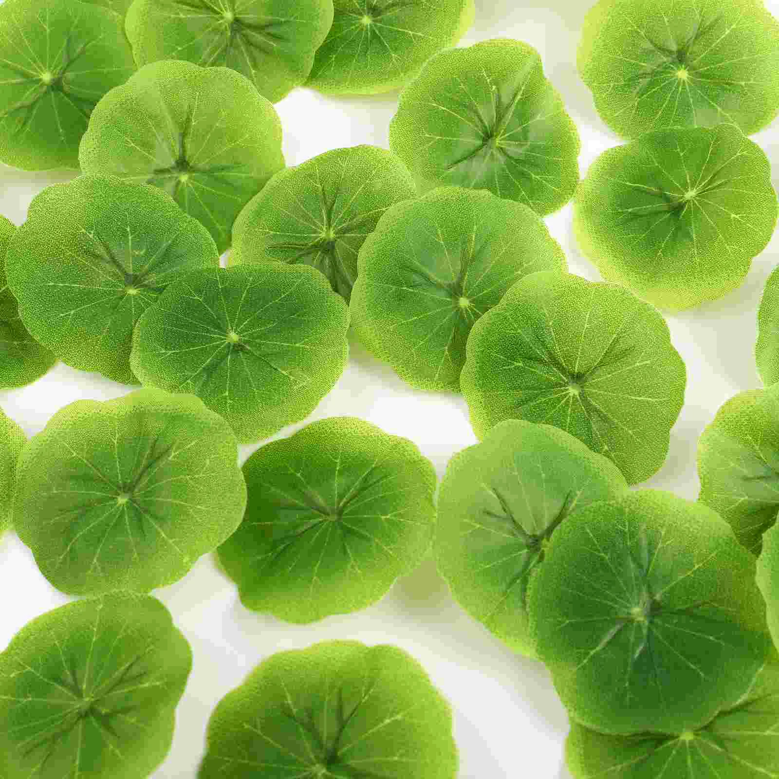 30 Pcs House Ornaments Aquarium Landscape Decor Artificial Flower Duckweed Lilly Pads Fish Pond Pond Decor
30 Pcs House Ornaments Aquarium Landscape Decor Artificial Flower Duckweed Lilly Pads Fish Pond Pond Decor