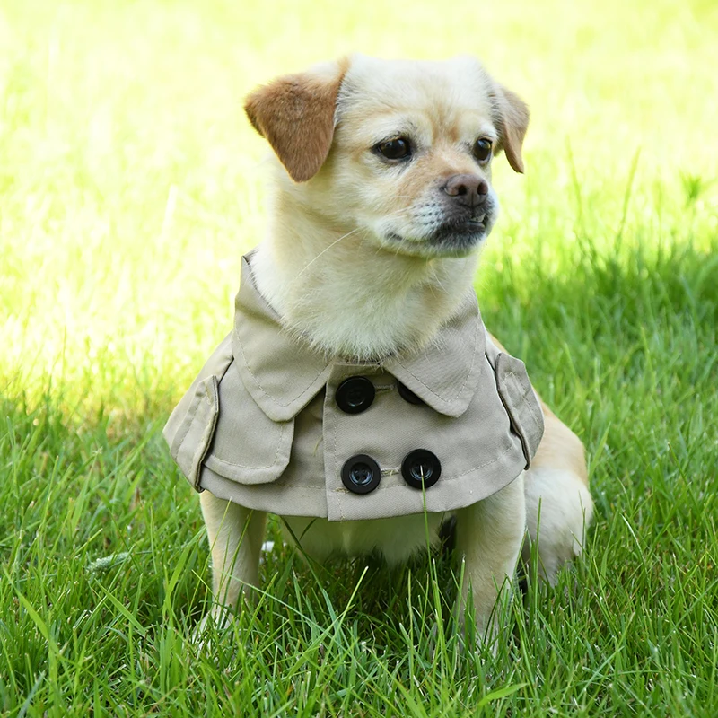 New Design Fashional Puppy Dog Clothes for Small Dogs Dog's Jacket Soft Warm Lightweight Dog Coat Medium Thickness.
New Design Fashional Puppy Dog Clothes for Small Dogs Dog's Jacket Soft Warm Lightweight Dog Coat Medium Thickness.