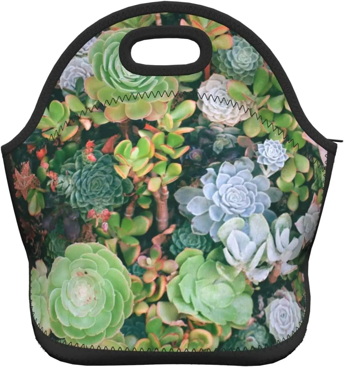 Succulent Plants Lunch Box Reusable Lunch Bag Tote Bag Insulated Lunch Bag for Women Men Lunch Box for Camping Gifts School
Succulent Plants Lunch Box Reusable Lunch Bag Tote Bag Insulated Lunch Bag for Women Men Lunch Box for Camping Gifts School