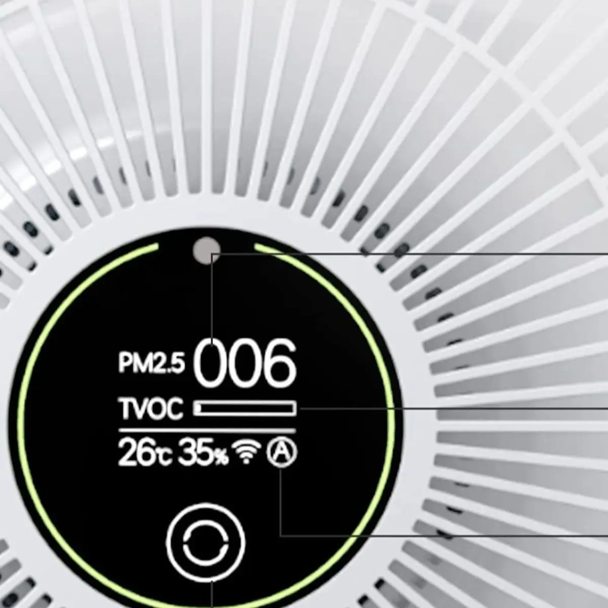 Turkey_qqqq
Turkey_qqqq