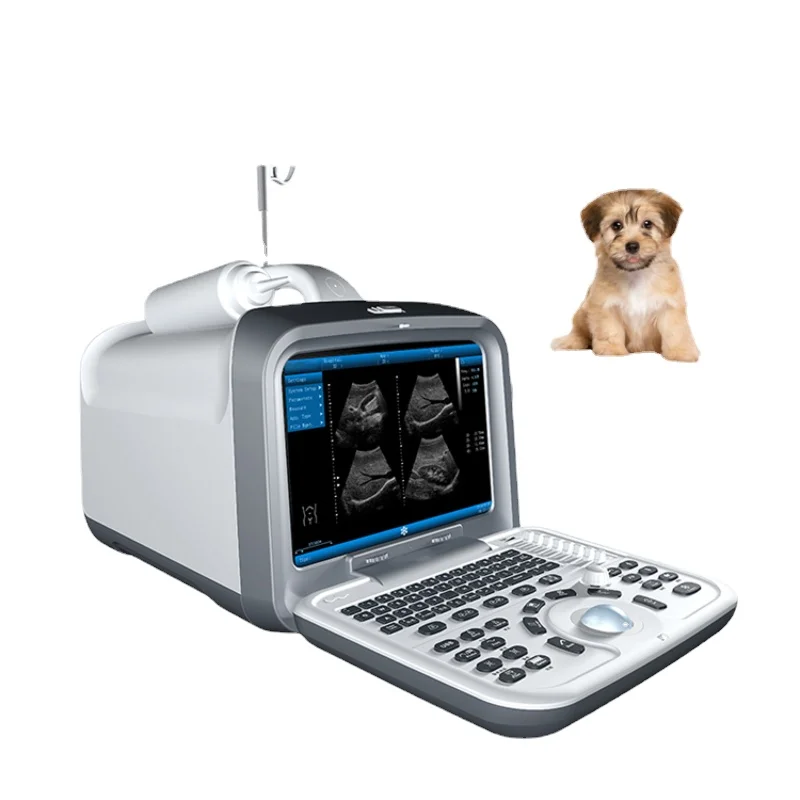 

NEW 2021 Doppler-ultrasonido veterinario para animales, portátil, de la mejor calidad, Color 4D