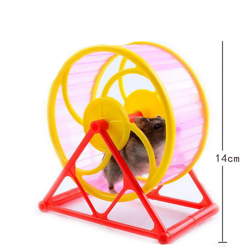 Small Animals Exercise Wheels Pet Supplies Small Pet Toy Hamster Sports Running Wheel Hamster Cage 2022 New Accessories Toys
Small Animals Exercise Wheels Pet Supplies Small Pet Toy Hamster Sports Running Wheel Hamster Cage 2022 New Accessories Toys