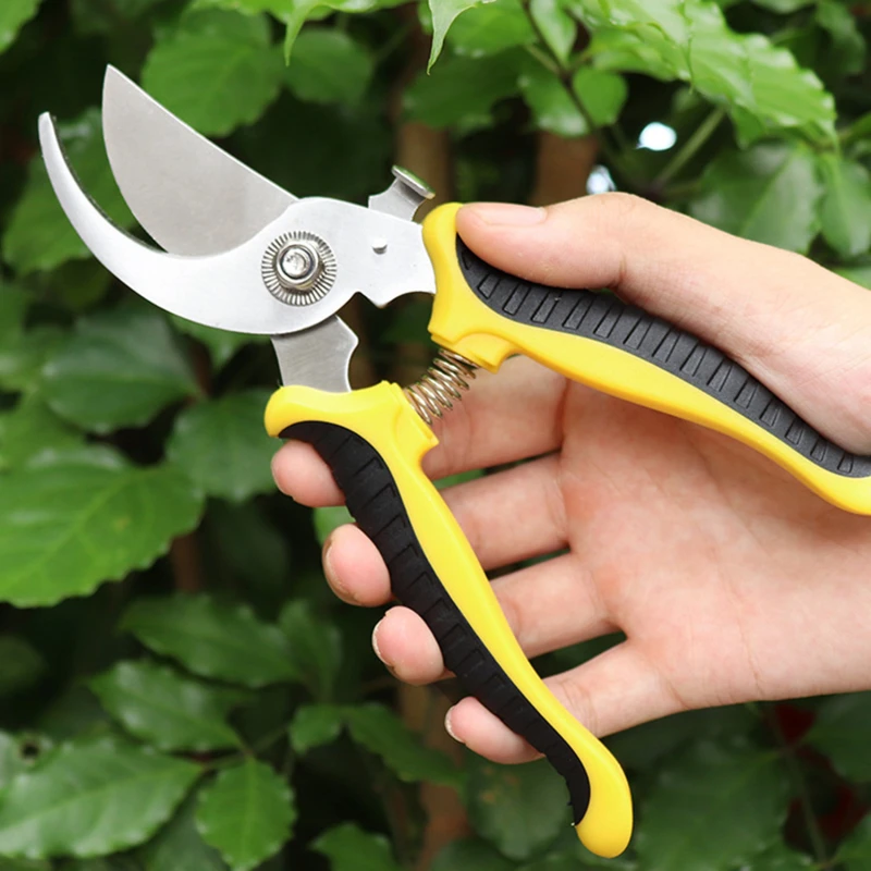 Pruner Garden Scissors Professional Sharp Bypass Pruning Shears Tree Trimmers Secateurs Hand Clippers For Garden Beak Scissors
Pruner Garden Scissors Professional Sharp Bypass Pruning Shears Tree Trimmers Secateurs Hand Clippers For Garden Beak Scissors