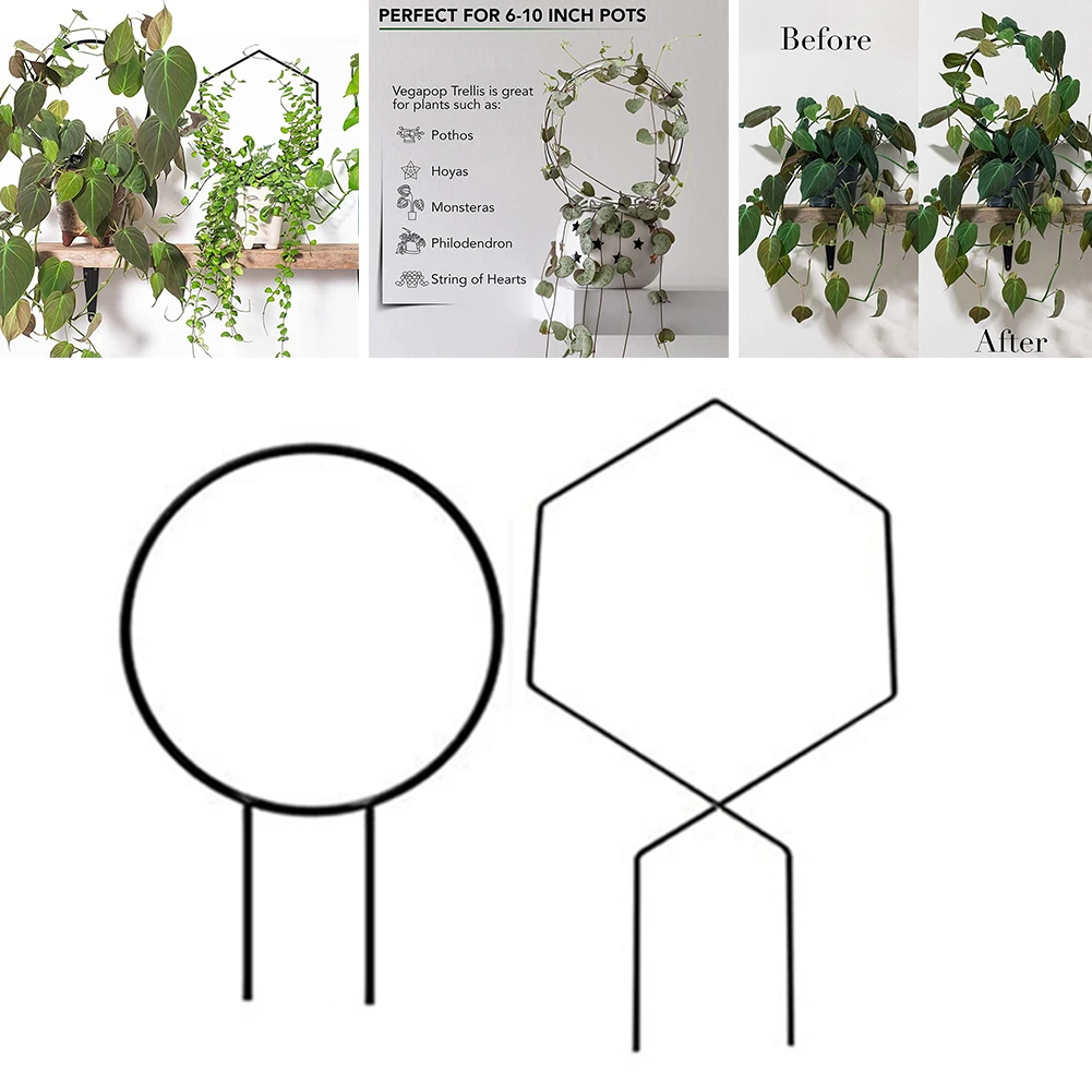 Round & Hexagonal Shape Garden Metal Climbing Plant Support Frame Trellis Vine Climbing Rack Garden Tool
Round & Hexagonal Shape Garden Metal Climbing Plant Support Frame Trellis Vine Climbing Rack Garden Tool