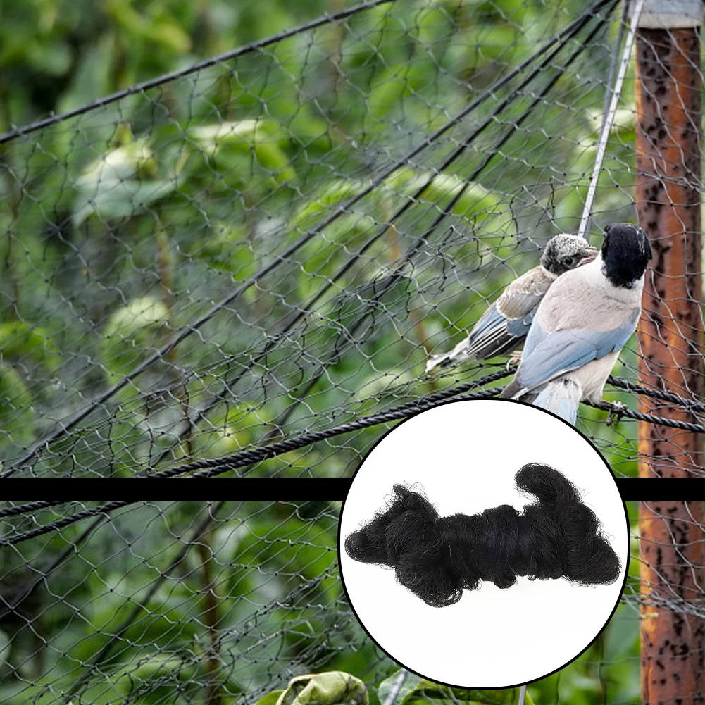 Brand new Convenient Durable High quality Anti Bird Net Strong Black Fruit Garden Net Pond Protection Accessory
Brand new Convenient Durable High quality Anti Bird Net Strong Black Fruit Garden Net Pond Protection Accessory