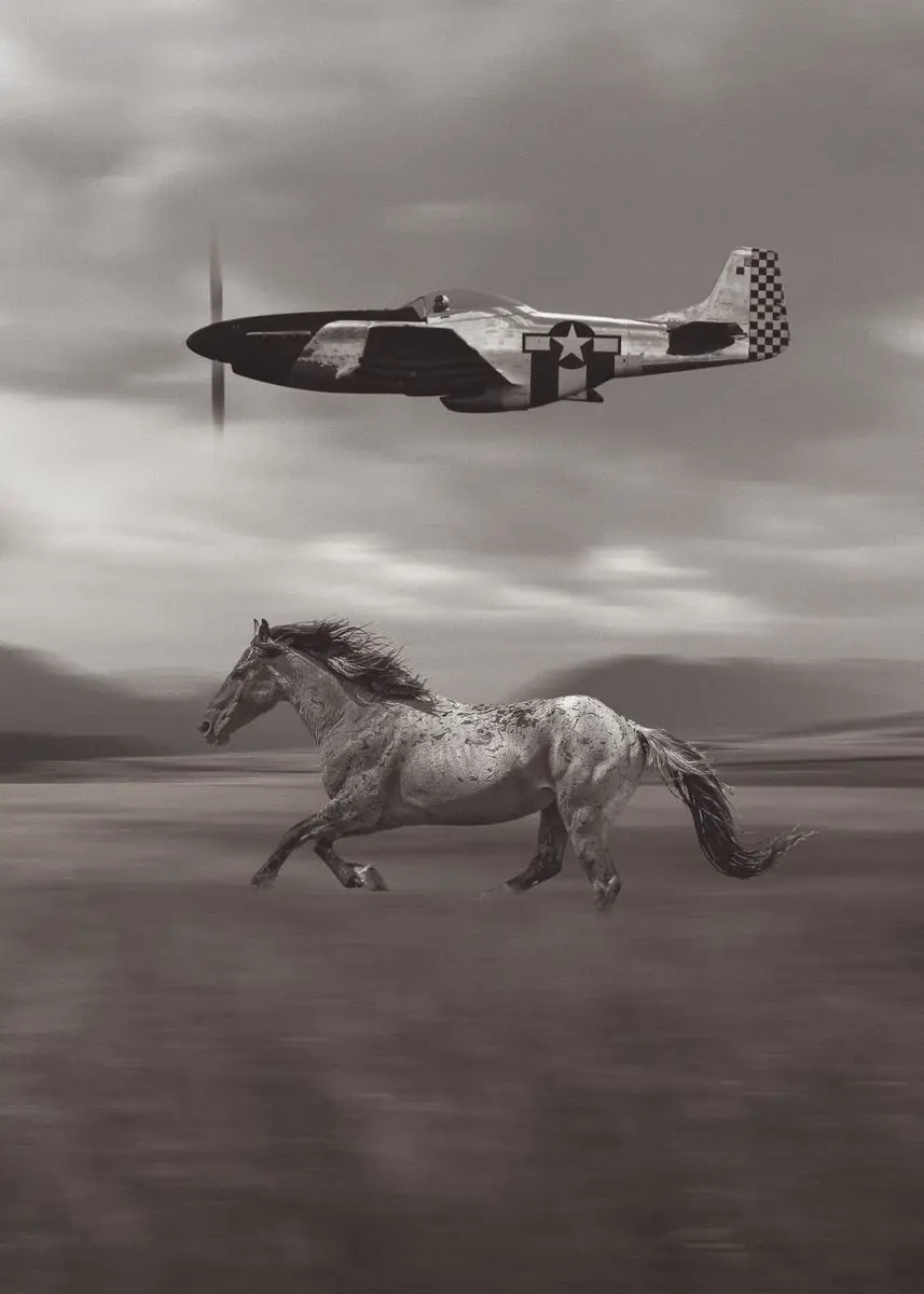 Плакат «Дикая Лошадь и боевые самолеты» на холсте
Плакат «Дикая Лошадь и боевые самолеты» на холсте