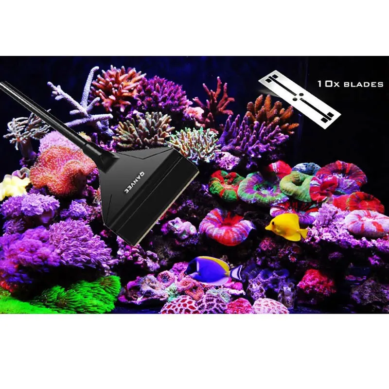 Aluminum-magnesium alloy scraper knife fish tank cleaning tool quick cleaning brush freshwater seawater fish tank general
Aluminum-magnesium alloy scraper knife fish tank cleaning tool quick cleaning brush freshwater seawater fish tank general