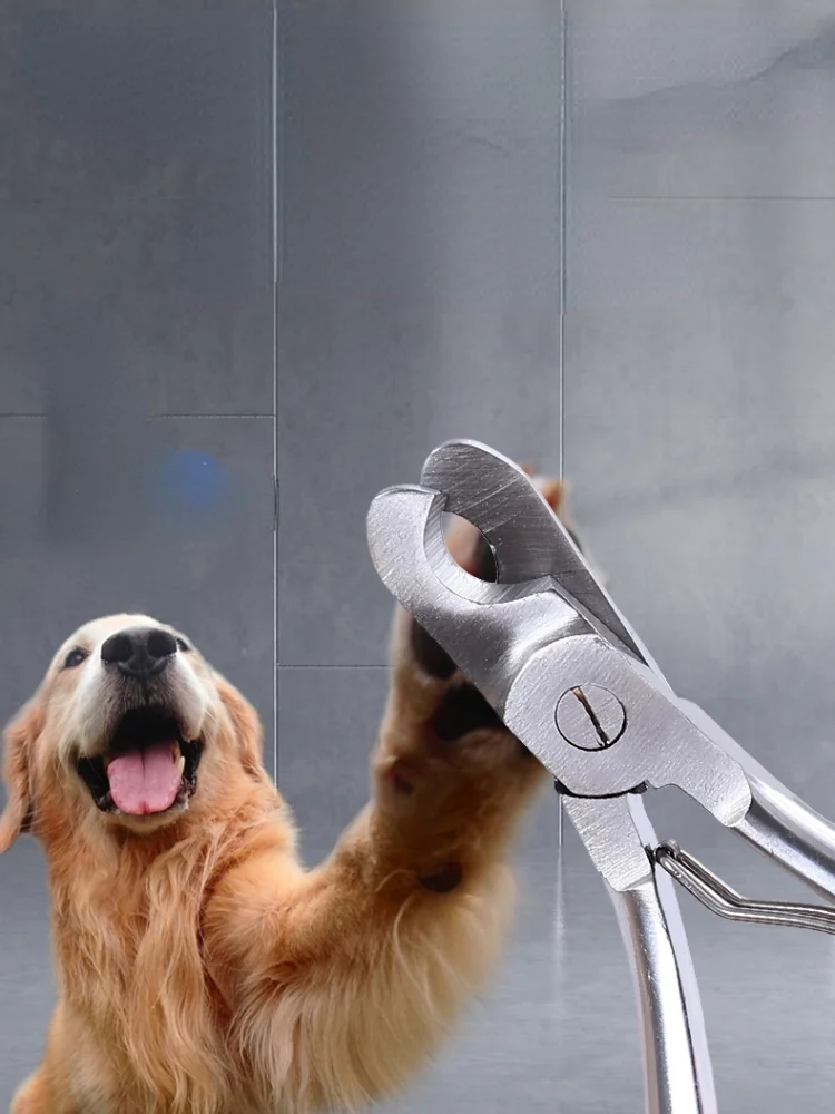 Stainless Steel Dog Nail Grinder Large Head Profesional Dog Nail Grinder Upgraded Groom Coupe Ongle Chien Nail Supplies
Stainless Steel Dog Nail Grinder Large Head Profesional Dog Nail Grinder Upgraded Groom Coupe Ongle Chien Nail Supplies
