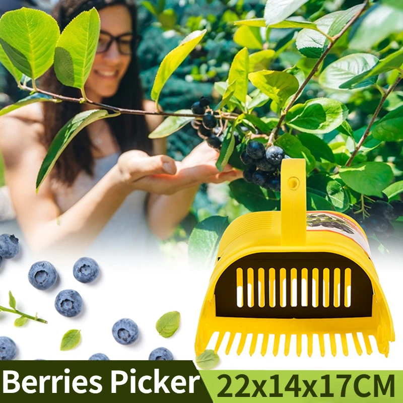 Садовые ручные инструменты, сборщик ягод, портативный пластиковый уличный сборщик черники с ловушкой, перегородка 
Садовые ручные инструменты, сборщик ягод, портативный пластиковый уличный сборщик черники с ловушкой, перегородка