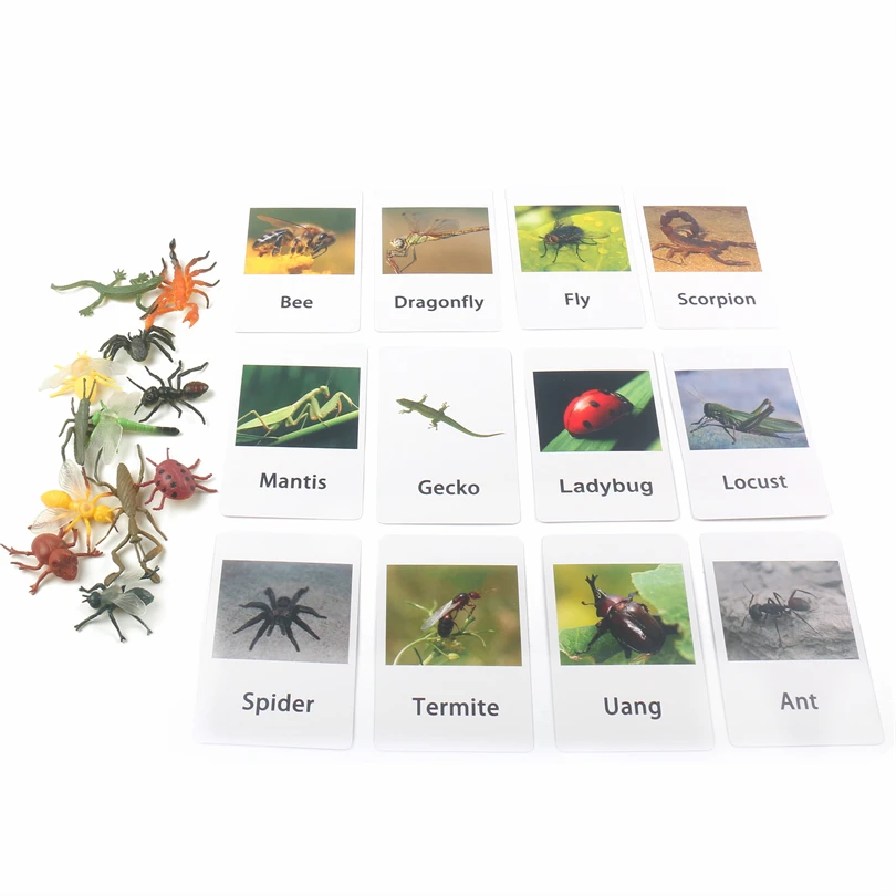 Montessori Puzzle Learning Materials Animal Flash Cards Toys For 3 Year Olds Classroom Supplies Teaching Christmas Gift G86Y 
Montessori Puzzle Learning Materials Animal Flash Cards Toys For 3 Year Olds Classroom Supplies Teaching Christmas Gift G86Y